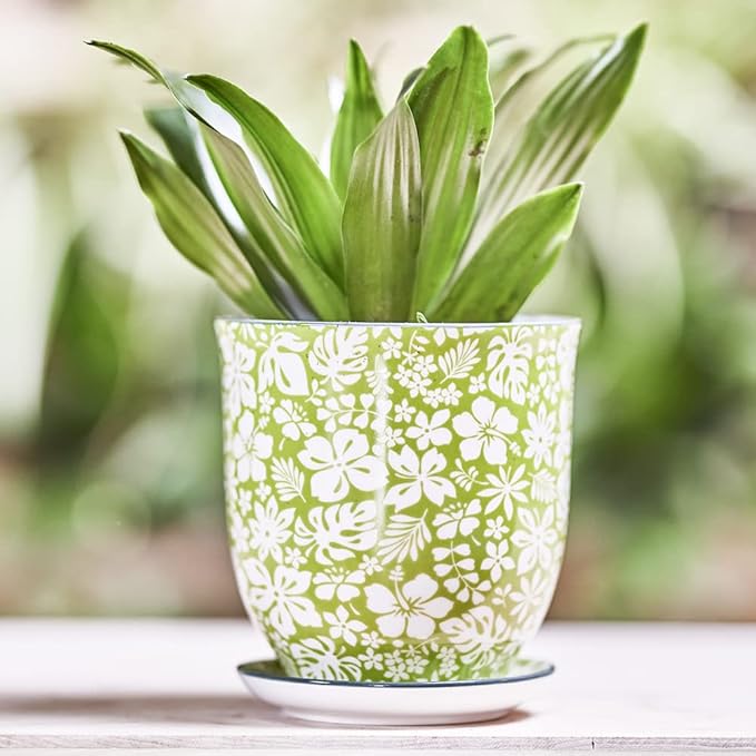 CHIVE ‘Liberte’ Ceramic Succulent Pots — 4.25” Cute Vintage Farmhouse Style Planters for Indoor Plants — Beautiful Home & Kitchen Decor — Green Garden