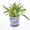 CHIVE ‘Liberte’ Ceramic Succulent Pots — 4.25” Cute Vintage Farmhouse Style Planters for Indoor Plants — Beautiful Home & Kitchen Decor — Blue Swallows