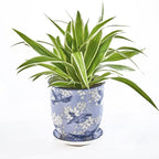 CHIVE ‘Liberte’ Ceramic Succulent Pots — 4.25” Cute Vintage Farmhouse Style Planters for Indoor Plants — Beautiful Home & Kitchen Decor — Blue Swallows
