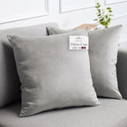 lalaLOOM Velvet Throw Pillow Covers, Set of 2 Decorative Square Pillows Home Decor, Soft Accent Cases, Silky Machine Washable Pillowcases for Sofa, Couch, Bedroom, Living Room, 16x16, Light Gray