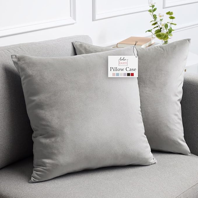 lalaLOOM Velvet Throw Pillow Covers, Set of 2 Decorative Square Pillows Home Decor, Soft Accent Cases, Silky Machine Washable Pillowcases for Sofa, Couch, Bedroom, Living Room, 16x16, Light Gray
