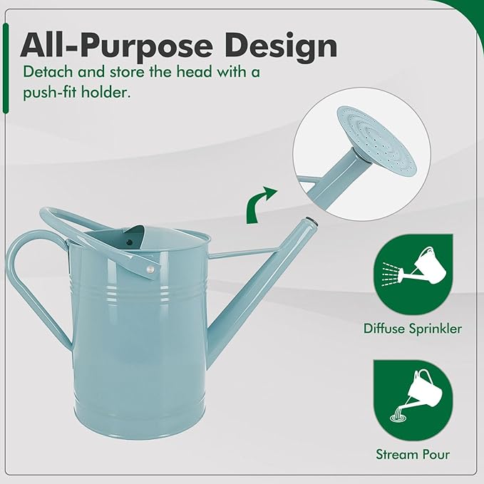 Galvanized Iron Watering Can for Indoor Plants, DIY Watering Cans for House Plant Garden Flower, Long Spout Water Can for Outdoor Watering Plants 7.57L 2 Gallon (Blue)