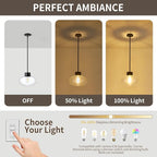 Large Glass Pendant Lights Kitchen Island, 12 Inch 1-Light Black Pendant Light with Clear Globe Glass and Rods, Modern Hanging Lighting for Kitchen Dining Room Entryway, OS-JJ1513-1PLBK