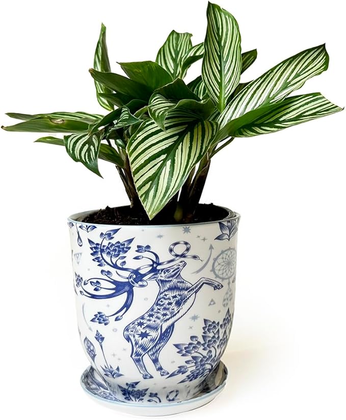 CHIVE 'Liberte' Ceramic Succulent Planters — Cute 4.25 Inch Vintage Style Pots for Indoor Plants — Beautiful Home and Kitchen Décor — Stag