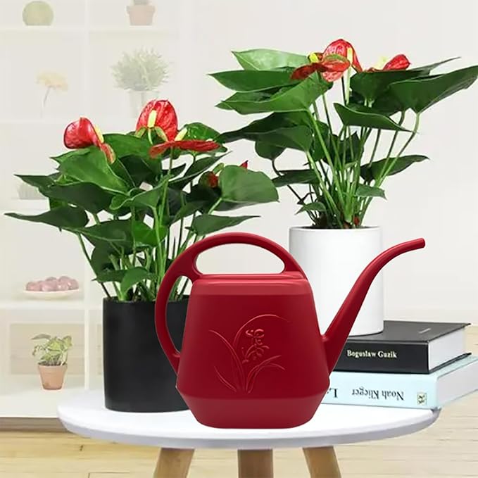 Watering Can - Wine Red - 1/2 Gallon