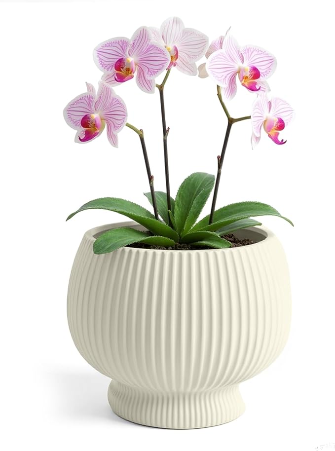 OXART 9.4 Inch Plant Pots, Ceramic Planters for Indoor Plants, Outdoor Flower Pots for Plants with Drainage Holes, Decorative Pot for Flowers & Herbs, No Trays, Yellow