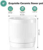 Vanavazon Ceramic Planter Pots for Indoor Plants with Drainage Hole and Saucer,6 Inch Cylinder Plant Pots,Glazed Finish Interior and Exterior,Set of 2 (White)