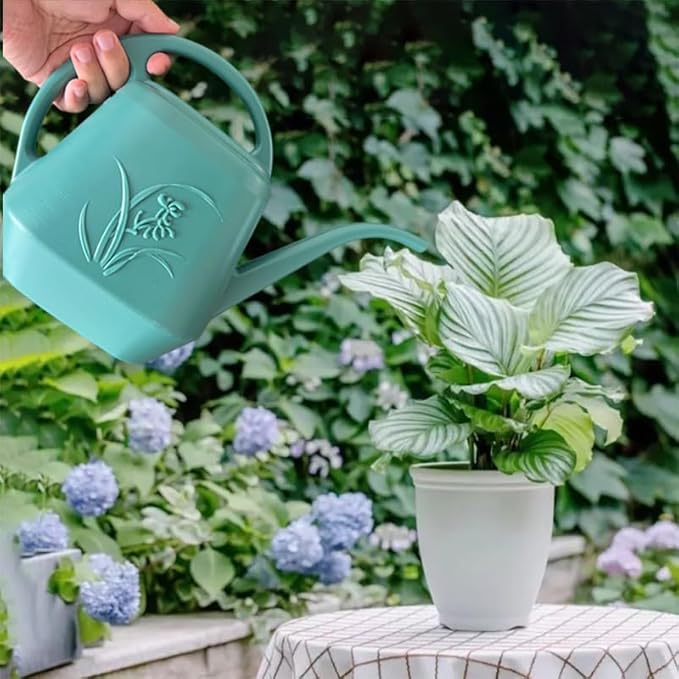 Plant Watering Can - 1/2 Gallon - Green