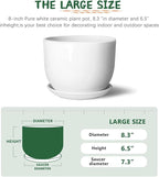 8 Inch Ceramic Planter, Plant Pots with Drainage Hole and Separable Saucer,Indoor-Outdoor Round Succulent Orchid Flower Pot,Indoor pots for Plants(Smooth White,Plant Pot only)