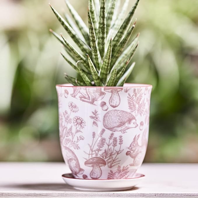 CHIVE ‘Liberte’ Ceramic Succulent Pots — 4.25” Cute Vintage Farmhouse Style Planters for Indoor Plants — Beautiful Home & Kitchen Decor — Red Squirrels