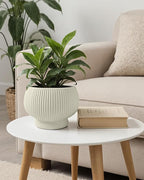 OXART 9.4 Inch Plant Pots, Ceramic Planters for Indoor Plants, Outdoor Flower Pots for Plants with Drainage Holes, Decorative Pot for Flowers & Herbs, No Trays, Yellow