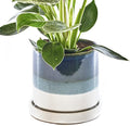 CHIVE ‘Minute’ Ceramic Succulent Planters — 5” Indoor Cactus & Flower Container Pots with Drainage & Detachable Saucer — Green Blue
