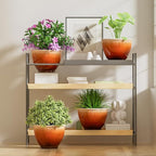 8 Inch Plastic Plant Pots, Set of 4 Flower Pots Planters with Drainage Hole, Glossy Smooth Finish Planter for Indoor Outdoor Succulent Snake Plants(Orange)