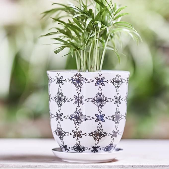 CHIVE ‘Liberte’ Ceramic Succulent Pots — 4.25” Cute Vintage Farmhouse Style Planters for Indoor Plants — Beautiful Home & Kitchen Decor — Black Stars