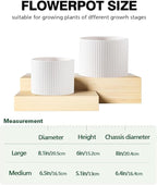 Ceramic Plant Pots, 8.1 + 6 Inch Planters for Indoor Plants, Modern Flower Pots for Plants with Drainage, Medium Cylinder Flower Pots for Indoor Plants, House Plants, Matte White