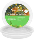 TITE Plant Saucer Heavy Large Planter Durable Thicker Plastic Plant Trays for Indoors and Outdoor,Plant Saucer Drip Trays (Transparent, 14 inch)