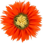 Handmade 3D Flower Round Velvet Throw Pillows Aesthetic Decorative Sunflower Accent Pillows Cute Soft Floral Cushion for Couch Bed Chair Car Living Room Bedroom Home Decor 12Inch Orange Red