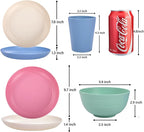 LIYH 48 Pcs Wheat Straw Dinnerware Plates and Bowls Set Dishwasher Safe Unbreakable Light Weight Plates Service for 12 Reusable Dinnerware Set Multicolor Set Dish Set