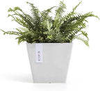 Ecopots Rotterdam Durable Modern Square Indoor/Outdoor Recycled-Based Composite Flower Planter, Pure White, 8"