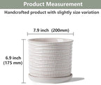 8 Inch Plant Pot: Ceramic Planter with Drainage Hole & Saucer for Indoor Outdoor Plants - Flowerpot with Bonded Tray for Home Office - Wave Embossed