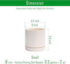 D'vine Dev Set of 2 Plants Pots, 6.5 Inch Ceramic Planter Pot for Plants with Drainage Hole and Saucer, Oatmeal, 94-V-C-8