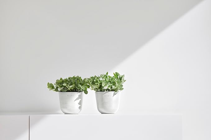 Ecopots Oslo Mini Durable Modern Round Indoor/Outdoor Recycled-Based Composite Flower Pot Planter, Pure White, 4.5"