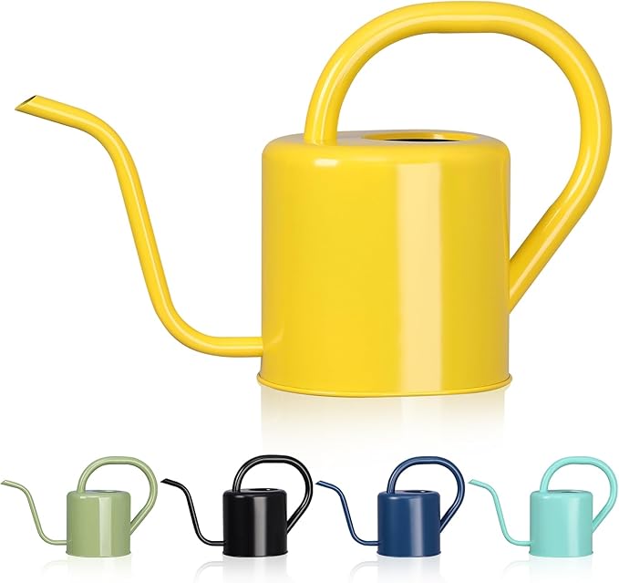 Watering Can, Stainless Steel Watering Can for Indoor & Outdoor Plants, 1L/35oz Long Spout Water Can with Handle, Rust-Proof Plant Watering Pot for House Plants, Garden Flowers