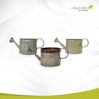 Headwind Countryside Collection - 6 Inch Rustic Green Galvanized Plant Watering Can for Outdoor & Indoor - Vintage Metal Watering Can Outdoor Planter by Robert Allen