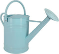 2 Gallon Metal Watering Can for Outdoor Indoor Garden Plants, Galvanized Watering Can with Removable Spout, Garden Watering Pot for Flowers, Plants & Lawns (Light Blue)