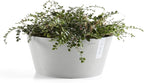 Ecopots Frankfurt Durable Modern Round Indoor/Outdoor Recycled-Based Composite Flower Pot Planter, White Grey, 12"
