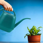 Fasmov Plastic Watering Can, 1-Gallon, Green