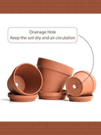 INGOFIN Terracotta Pots Set with Saucer - 5/6/7 inch Ceramic Clay Planters with Drainage Hole, Garden Flower Succulent Pots with Tray for Indoor Outdoor Plants, Set of 3