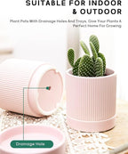 LaDoVita 3 Pack Ceramic Plant Pots 6/5/4 inch, Flowerpot for Indoor Plants with Drainage Holes and Tray, Outdoor Garden Planters, Modern Decorative for Home, Pink Vertical Stripes