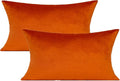VAKADO 12x20 Set of 2 Fall Burnt Orange Throw Pillow Covers Decorative Velvet Lumbar Rectangle Decoration Cushion Covers Home Bedroom Decor for Living Room Couch Sofa Car