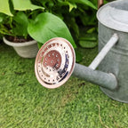 Metal Watering Can, One Gallon Watering Cans Stainless Steel for Outdoor Indoor Garden Plants Watering (Zinc 1 Gallon)