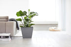 Ecopots Rotterdam Durable Modern Square Indoor/Outdoor Recycled-Based Composite Flower Planter, Grey, 15.75"
