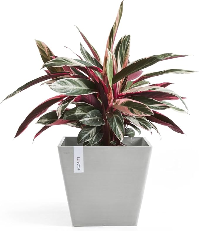 Ecopots Rotterdam Durable Modern Square Indoor/Outdoor Recycled-Based Composite Flower Planter, White Grey, 12"