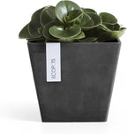 Ecopots Rotterdam Durable Modern Square Indoor/Outdoor Recycled-Based Composite Flower Planter, Dark Grey, 8"