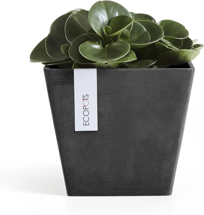 Ecopots Rotterdam Durable Modern Square Indoor/Outdoor Recycled-Based Composite Flower Planter, Dark Grey, 8"