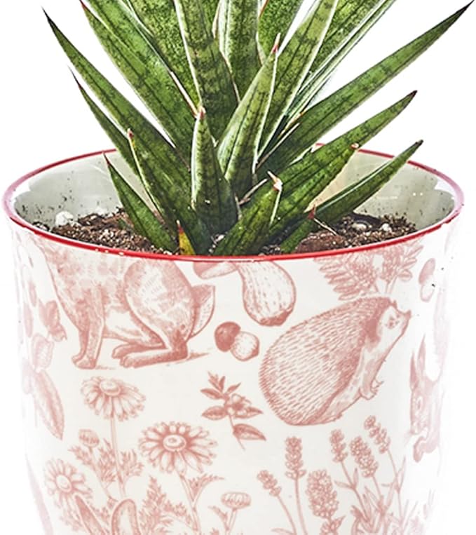 CHIVE ‘Liberte’ Ceramic Succulent Pots — 4.25” Cute Vintage Farmhouse Style Planters for Indoor Plants — Beautiful Home & Kitchen Decor — Red Squirrels