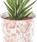 CHIVE ‘Liberte’ Ceramic Succulent Pots — 4.25” Cute Vintage Farmhouse Style Planters for Indoor Plants — Beautiful Home & Kitchen Decor — Red Squirrels