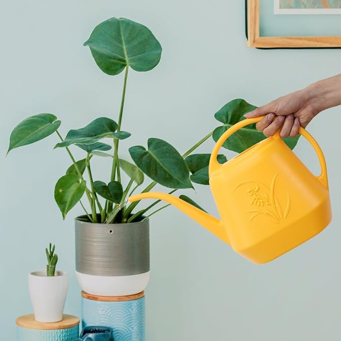 Plastic Watering Can - 1/2 Gallon - Orange