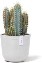 Ecopots Oslo Mini Durable Modern Round Indoor/Outdoor Recycled-Based Composite Flower Pot Planter, Pure White, 6"