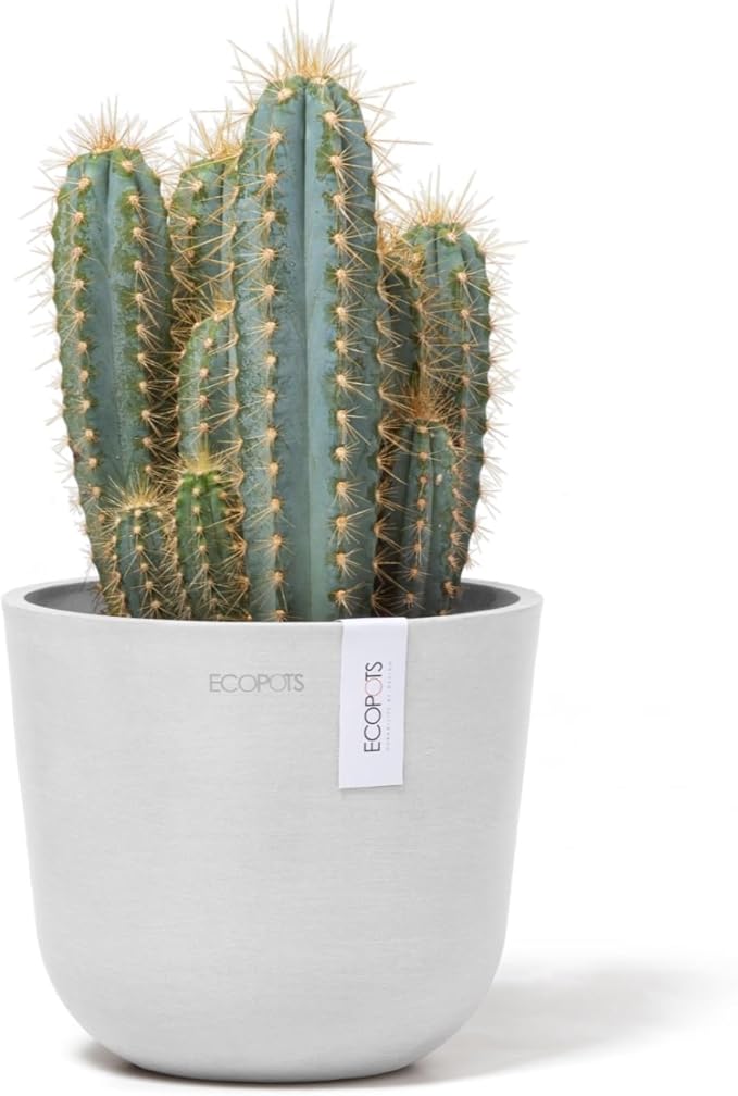 Ecopots Oslo Mini Durable Modern Round Indoor/Outdoor Recycled-Based Composite Flower Pot Planter, Pure White, 6"