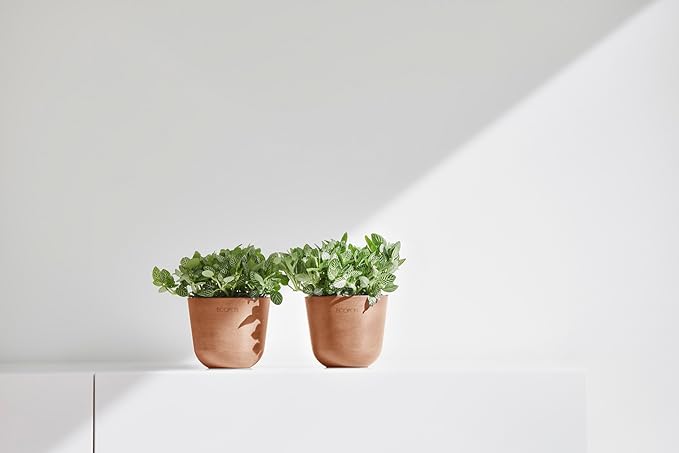 Ecopots Oslo Mini Durable Modern Round Indoor/Outdoor Recycled-Based Composite Flower Pot Planter, Terracotta Color, 4.5"