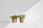 Ecopots Oslo Mini Durable Modern Round Indoor/Outdoor Recycled-Based Composite Flower Pot Planter, Terracotta Color, 4.5"