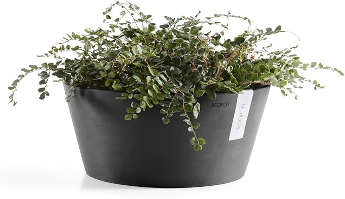 Ecopots Frankfurt Durable Modern Round Indoor/Outdoor Recycled-Based Composite Flower Pot Planter, Dark Grey, 12"