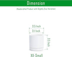 D'vine Dev Set of 2 Plants Pots, 3.5 Inch Ceramic Planter Pot for Plants with Drainage Hole and Saucer, White, 94-V-A-1