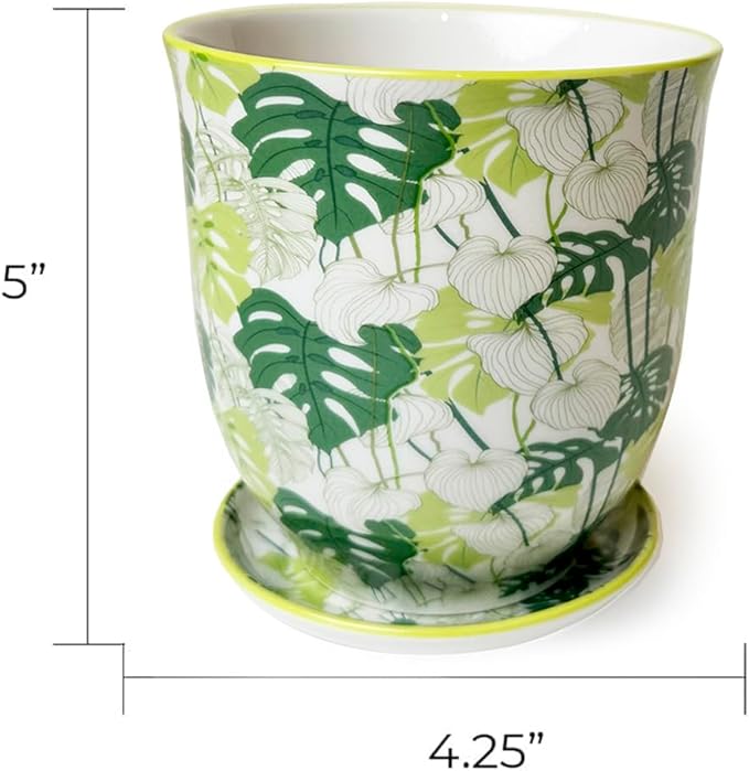 CHIVE 'Liberte' Ceramic Succulent Planters — Cute 4.25 Inch Vintage Style Pots for Indoor Plants — Beautiful Home and Kitchen Décor — Monstera