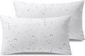 Phantoscope Premium Outdoor Pillow Inserts - Pack of 2 Square Form Water Resistant Decorative Throw Pillows, Couch Sham Cushion Stuffer 12 x 20 inches